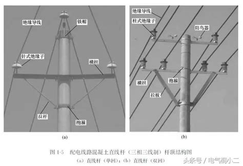 電線桿直徑 仙人掌 寓意